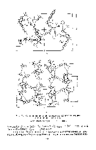 Рис. 71. <a href="/info/376711">Схематическое изображение</a> структуры моногидрата солянокислого гистидина