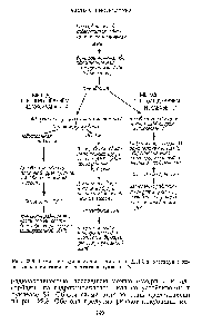 Рис. 22.8. <a href="/info/19560">Схема метода</a> изучения гомологии ДНК в растворе с использованием гидроксилапатита и нуклеазы 51.