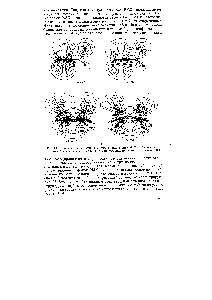 Рис. 97. Сравнение связывающих <a href="/info/1199">молекулярных орбиталей</a> Та и 2е этильного катиона (а) и заслоненного этана (б), <a href="/info/4424">полученных методами</a> аЬ initio и РМХ