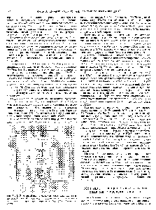 Рис. 37.15. Жизненный цикл дрожжей включает спаривание гаплоидов МАТа и МАТа, ведущее к образованию гетерозиготных диплоидов, которые при споруляции образуют гаплоидные споры.