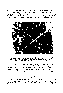 Рис. 113. Микрофотография, снятая при окислении графита в Ог. Расплавленный М0О3 образовал кристаллографически строго ориентированные канавки, часть из которых ориентирована параллельно, а другие — перпендикулярно линиям двойникования (Х210).