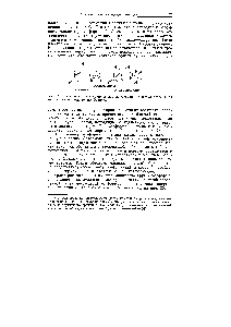 Рис. 24. Заслоненная и заторможенная <a href="/info/8805">конформации молекул</a> этана и их ньюменовские проекционные формулы.