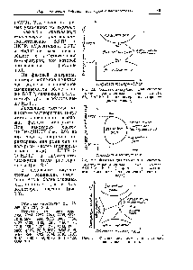 Рис. 2.6. <a href="/info/2787">Фазовая диаграмма</a> для <a href="/info/74058">системы полимер</a> — растворитель для случая ВКТР < НКТР (например, полистирол — циклогексанон).