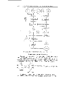 Рис. 206. <a href="/info/1770043">Схема производства полиамидной</a> смолы капрон.