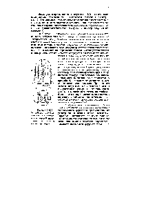 Рисунок 3.3.12 -<a href="/info/1836896">Устройство преобразователя</a> для измерения магнитной анизотропии со сложным магнитопроводом