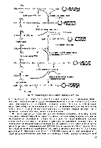 Рис. 21. Схема <a href="/info/179149">твердофазного синтеза пептидов</a> и белков