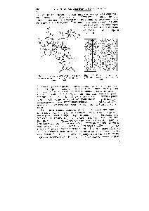 Рис. 101. Стереоскопический чертеж молекулы витамина 615, вычерченный компьютером
