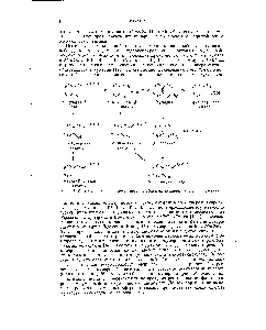 Рис. 5. <a href="/info/25483">Схема синтеза</a> и последующего <a href="/info/644378">метаболизма кумарина</a> в высших растениях.