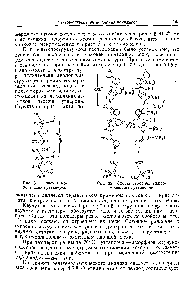 Рис. 32 <a href="/info/659657">Схемы строения макромолекулы</a> гуттаперчи,