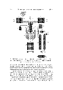 Рис. 5.5. Схема микроволновой плазменной установки для переработки <a href="/info/1595299">нитратного раствора</a> обогащенного по изотопу 11-235, смесевых растворов урана и плутония, урана и тория и т. п.