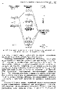 Рис. 4.12. <a href="/info/18092">Диаграмма энергетических</a> уровней <a href="/info/729376">молекулярных орбиталей октаэдрического</a> комплекса (вернеровского типа).