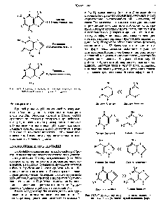 Рис. 34.7. Структура таутомеров цитозина, тимина. аденина и гуанина с указанием преобладающих форм.