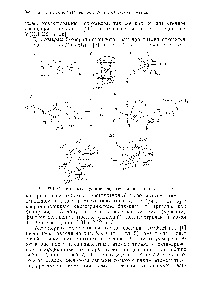 Рис. 27.1. <a href="/info/4829">Строение молекул</a> и ионов, содержащих титан (см. те1 . т1.