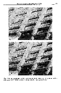 Рис. 4.13. Изображение сетки, соответствующее ситуации, представленной на рис. 4.12, а(а), изображение с динамической фокусировкой (б).