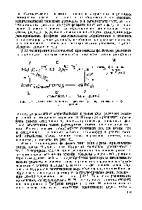 Рис. 12. <a href="/info/219056">Схема молекулярных</a> переходов у конденсированных фосфатов.