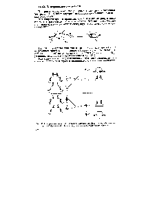 Рис. 13.7. <a href="/info/74721">Корреляционная диаграмма</a> для конротаторной циклизации бутадиена а — МО бутадвсва б — МО циклобутена, играющее главную роль в реакции