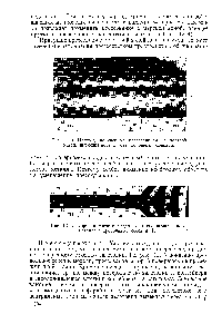 Рис. 12. 5. <a href="/info/120274">Картина течения</a> модели частично выдавленного металла в продольном сечении [2].