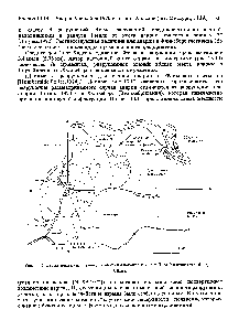 Рис. 13.11. <a href="/info/707709">Схема зоны</a> разрушений для аварии 9 декабря 1970 г. в Порт-Хадсоне (шт. Миссури,