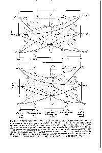 Рис. 2. Схема уровней энергии и -ионов, показывающая наличие корреляции между слабым и сильным <a href="/info/1594852">кубическими полями</a>. Нижняя диаграмма относится к а верхняя — к В центре обеих диаграмм показано расщепление уровней <a href="/info/300665">свободного иона</a> <a href="/info/373288">кристаллическим полем</a>. С боков дано <a href="/info/107849">обменное расщепление</a> уровней <a href="/info/373540">сильного поля</a>. Справа — расщепление октаэдрическими полями (Од-симметрия), слева — <a href="/info/1658788">тетраэдрическими полями</a> (Г -симметрия). Триплетные уровни показаны сплошными линиями, а синг-летные — пунктиром. На <a href="/info/128624">средней</a> линии 0д = 0, а по краям Вд = со.