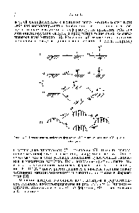 Рис. 14.1. Схемы взаимодействия фермента (Е) с <a href="/info/31475">ионом металла</a> (М +) и лигандом (Ь).