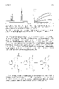 Рис. 6.12. Хроматограмма <a href="/info/1420777">бисакодила</a> (1) и продуктов его гидролиза (II н III). Колонка 4,6X150 мм, сорбент — Силасорб С18. <a href="/info/5672">Подвижная фаза</a> — ацетонитрил — 0,2 М ацетат аммония с pH 5,0 (1 1).