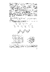 Рис. 2.2. Ближний и <a href="/info/529604">дальний конформационный порядок</a> в полимерной молекуле 