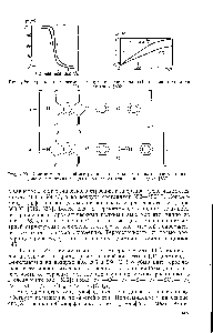 Рис. 7.28. <a href="/info/154504">Кривые термической</a> деструкции полиимида (1) и полиамидоимида