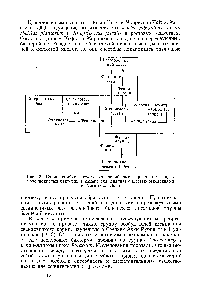 Рис. 2. Схема симбиотических отношений шести <a href="/info/1304433">различных видов</a> <a href="/info/64673">молочнокислых бактерий</a> в камере для диализа с шестью отделениями (по Nurmikko, 1956)
