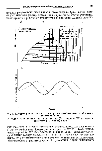 Рис. 15.6. <a href="/info/196246">Модель хищник—жертва</a> с регулярными колебаниями — случай расчетливого хищника.