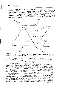 Рис. 2.7. Диаграмма, иллюстрирующая возможные <a href="/info/1474115">тримолекулярные реакции рекомбинации</a> в <a href="/info/16095">системе водород</a> — кислород.