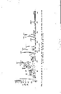 Рис. 10. <a href="/info/740006">Кривая разделения</a> растворимых триптических пептидов, полученных из 10 мг гемоглооина, на колонке