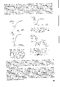 Рис. 144. Зависимость максп-ма.чьного уд,линения ацетилцеллюлозы до разрыва от степени полимеризации