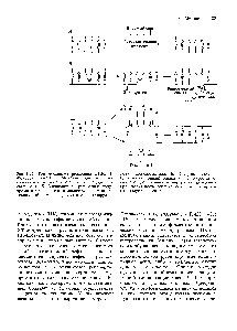 Рис. 5.32. Три <a href="/info/1324872">механизма репарации</a> ДНК. А. <a href="/info/1351181">Фотореактивация тиминовые димеры</a> расщепляются и восстанавливается <a href="/info/917">водородная связь</a> А-Т. Б. Эксцизионная репарация полу-хроматидная последовательность, содержащая <a href="/info/591379">тиминовый димер</a>, вырезается и синтезируется