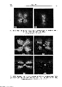 Рис. 35.12. Типичная <a href="/info/128572">картина малоуглового светорассеяния</a> от <a href="/info/1774936">недеформирован</a>-ноЯ полиэтиленовой пленки [П 56651.