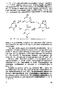 Рис. 16. <a href="/info/9418">Схема реакции</a> гидроксиламина с цитозином.