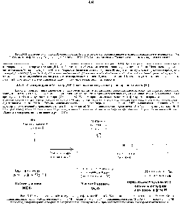 Рис. 13-12. Уровни активности М-<a href="/info/200648">стимулирующего фактора</a> (MPF, или МСФ) в ооците, яйце и раннем зародыше Xenopus. Ооцит останавливается в фазе Ог мейоза при низком уровне MPF зрелое отложенное яйцо останавливается в фазе М мейоза при высоком уровне MPF <a href="/info/1386491">после оплодотворения</a> ранний эмбрион проходит чередующиеся фазы S и М при соответственно меняющихся уровнях активности MPF.