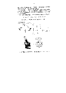 Рис.3.10. <a href="/info/1481876">Блок-схема работы</a> по <a href="/info/797789">определению эмульсии масло</a> в воде