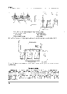 Рисунок 9. ] ]. <a href="/info/1761237">Параллельные компрессоры</a> с комбинированными линиями выравнивания давления и масла.