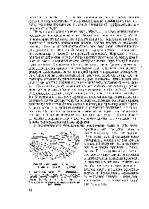 Рис. 11. Схема жилкования <a href="/info/1095037">крыла насекомого</a> (по Бей-Биенко, 1966) 