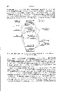 Рис. 24. Диаграмма молекулярных энергетических уровней для комплексов