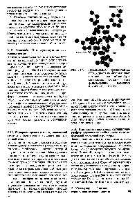 Рис. 5.17. Локализация фенилаланина D1, одного из инвариантных остатков в гемоглобине. <a href="/info/97411">Ароматическое кольцо</a> этого фенилаланина находится в контакте с гемом.