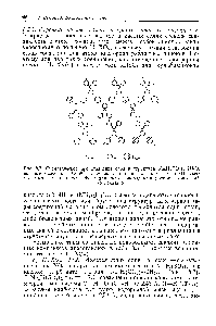 Рис. 8.7. <a href="/info/1012491">Схематическое представленне</a> слоя в структуре ЫазН(С0а)2-2Н20, показывающее ионы СОз ", соединенные в пары короткими О—Н—0-связя-Л1и о <a href="/info/5256">молекулами воды</a> — более <a href="/info/98129">длинными водородными связями</a>. Ионы Ыа+
