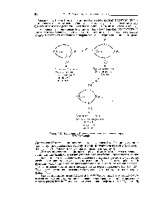 Рис. 9-12. Изменение ИК-<a href="/info/190098">спектров циклических</a> аминокетонов при протонировании.