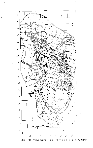 Фиг. 82. <a href="/info/729159">Структурная карта</a> XIV горизонта Биби-Эйбата
