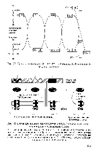 Рис. 77. Транслокация групп (Е1, Е2, ЕЗ — ферменты, НРг — низкомолекулярный белок)