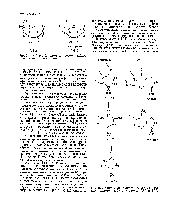 Рис. 28.3. Рибоза и дезоксирибоза — сахара, входящие в <a href="/info/109630">состав нуклеиновых</a> кислот.