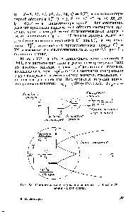 Рис. 52. Принципиальная схема эксперимента и <a href="/info/147359">область течения</a> вблизи сопла.