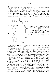 Фиг. 7. Схема биохимического топливного элемента, по Сисле-РУ [44].