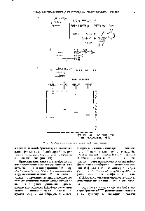 Рис. 1.23. <a href="/info/19560">Схема метода</a> секвенирования ДНК по Сэнгеру