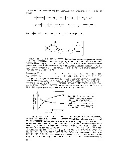 Рис. 30. <a href="/info/291798">Кинетика обменных реакций</a> между высокомокуляр-ным и <a href="/info/315134">низкомолекулярным полимерами</a> при 55°С (J) и поликоординации 4,4 -быс-(ацетоаце-тил)дифенилоксида и ацетил аце-тоната бериллия при 55°С (2)